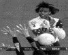 IMG005.GIF.gst.iff