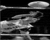 IMG003.GIF.gst.iff