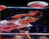 IMG003.GIF.cst.iff