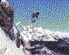 IMG002.GIF.cst.iff