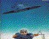 IMG198.GIF.cst.iff