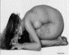 IMG194.GIF.gst.iff