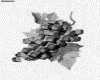 IMG191.GIF.gst.iff