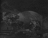IMG178.GIF.gst.iff
