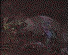 IMG178.GIF.cst.iff