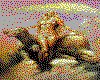 IMG168.GIF.cst.iff