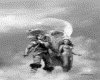 IMG161.GIF.gst.iff
