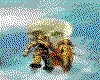 IMG161.GIF.cst.iff