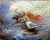 IMG158.GIF.cst.iff