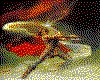 IMG138.GIF.cst.iff