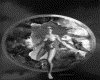 IMG135.GIF.gst.iff