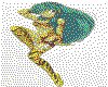 IMG134.GIF.cst.iff