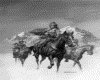 IMG132.GIF.gst.iff