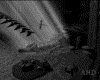 IMG126.GIF.gst.iff