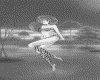 IMG113.GIF.gst.iff