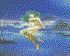 IMG113.GIF.cst.iff
