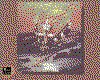 IMG111.GIF.cst.iff
