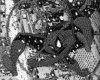IMG108.GIF.gst.iff