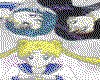 IMG102.GIF.cst.iff