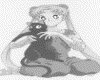 IMG101.GIF.gst.iff