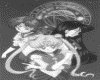 IMG100.GIF.gst.iff