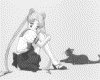 IMG092.GIF.gst.iff