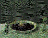IMG088.GIF.cst.iff