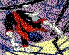 IMG084.GIF.cst.iff