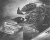 IMG083.GIF.gst.iff
