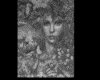 IMG082.GIF.gst.iff