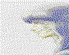 IMG079.GIF.cst.iff