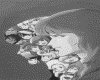IMG077.GIF.gst.iff