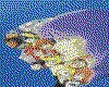IMG077.GIF.cst.iff