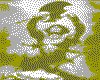 IMG076.GIF.cst.iff