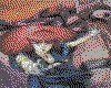 IMG065.GIF.cst.iff