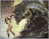 IMG060.GIF.cst.iff