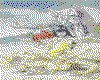 IMG059.GIF.cst.iff