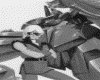 IMG054.GIF.gst.iff