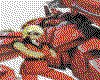 IMG054.GIF.cst.iff