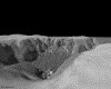 IMG053.GIF.gst.iff