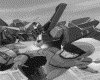 IMG052.GIF.gst.iff
