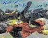 IMG052.GIF.cst.iff