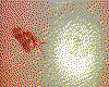 IMG049.GIF.cst.iff
