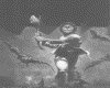 IMG047.GIF.gst.iff