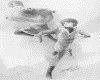 IMG046.GIF.gst.iff