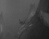 IMG045.GIF.gst.iff