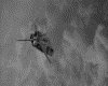 IMG043.GIF.gst.iff