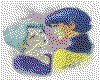 IMG040.GIF.cst.iff