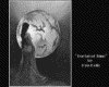 IMG037.GIF.gst.iff