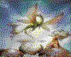 IMG033.GIF.cst.iff